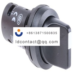 1SFA619200R1076  C2SS1 10B 11 ABB 2