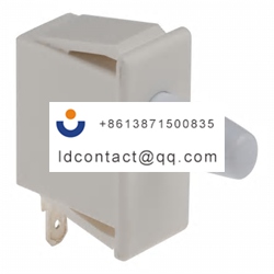 1DM1 Honeywell Bullet Plunger Micro