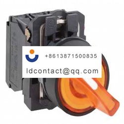 XB5AK125B5 Schneider Electric 2 pos