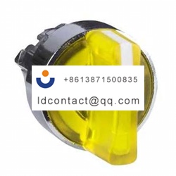 ZB4BK1283 Schneider Electric 2 posi