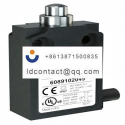 6089152048 Bernstein AG Plunger Lim