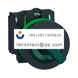 XB5FK123G5 Schneider Electric 2 pos