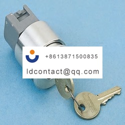 704 121 018 EAO Key Switch Head  Lo