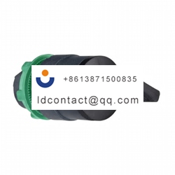 ZB5AG2D Schneider Electric 8D1 key 