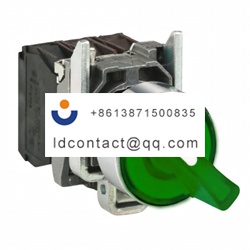 XB4BK123G5 Schneider Electric 2 pos