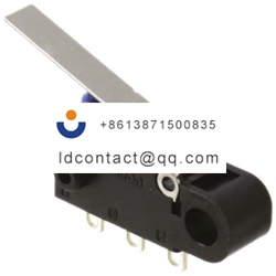 D2HW C221H Omron Long Rocker Micros