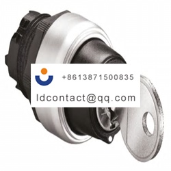 LPCS331 Lovato Key Switch Head    2