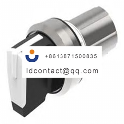45 2828 2C90 001 EAO 2 position swi
