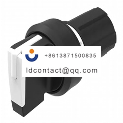 45 2844 1C90 006 EAO 2 position swi