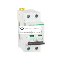 A9F38225 Schneider IC65 miniature c