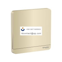 E8331L2LED_WG_C1 Schneider Yishang 