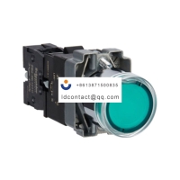 XB2BW33M1C Schneider XB2BW flat hea