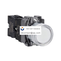 XB2BW31B1C Schneider XB2BW flat hea