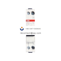 SN201 L-C4  ABB  10096753_SN201 1P+