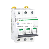 A9F28363 Schneider IC65 miniature c