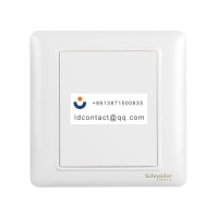 A3E50 Schneider Ruiyi blank panel b