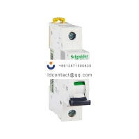 A9F39116 Schneider IC65 miniature c