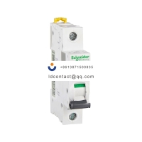 A9F28104 Schneider IC65 miniature c