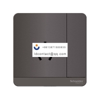 E8315_16CS_SL_C1 Schneider Yishang 