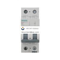 5SY6 2P C6_5SY6 Miniature Circuit B