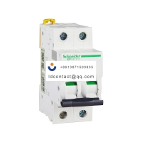 A9F19225 Schneider IC65 miniature c