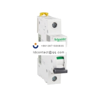 A9F29102 Schneider IC65 miniature c