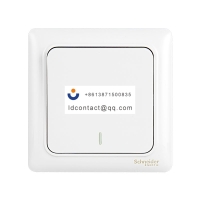 A3E31_1A Schneider Ruiyi panel swit