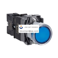 XB2BW36M1C Schneider XB2BW flat hea