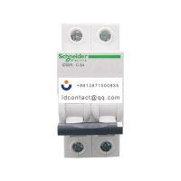 A9F18203 Schneider IC65 miniature c