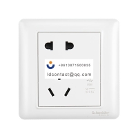 A3E42610US2U Schneider Ruiyi USB so