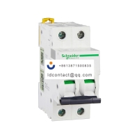 A9F19232 Schneider IC65 miniature c