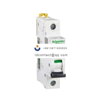 A9F17102 Schneider IC65 miniature c