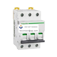 A9F17316 Schneider IC65 miniature c