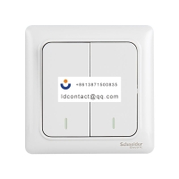 A3E32_2A Schneider Ruiyi panel swit