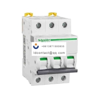 A9F29306 Schneider IC65 miniature c