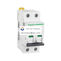 A9F29216 Schneider IC65 miniature c