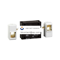 VZ13 Schneider Imported VARIO load 