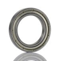 619-0389_RS PRO 6003-2Z Single Row 