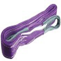 124-4878_RS PRO 6m Purple Lifting S