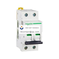 A9F19201 Schneider IC65 miniature c