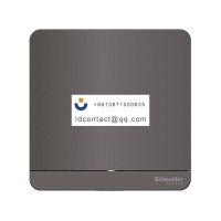 E8331L1LED_SL_C1 Schneider Yishang 