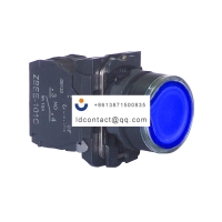 XB5AW36B1C Schneider Domestic XB5AW