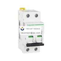 A9F28202 Schneider IC65 miniature c