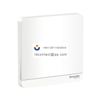 E8331L1LED_WE_C1 Schneider Yishang 