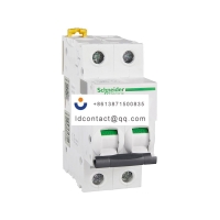 A9F18204 Schneider IC65 miniature c