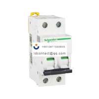 A9F28216 Schneider IC65 miniature c