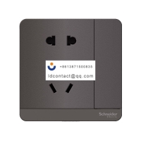 E8315_10US_SL_C1 Schneider Yishang 