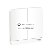 E8332L1_WE_C1 Schneider Yishang pan