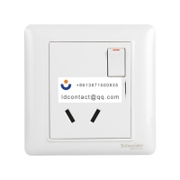 A3E15_16 Schneider Ruiyi switch soc