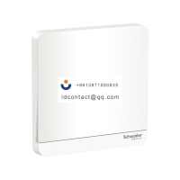 E8331L2_WE_C1 Schneider Yishang pan